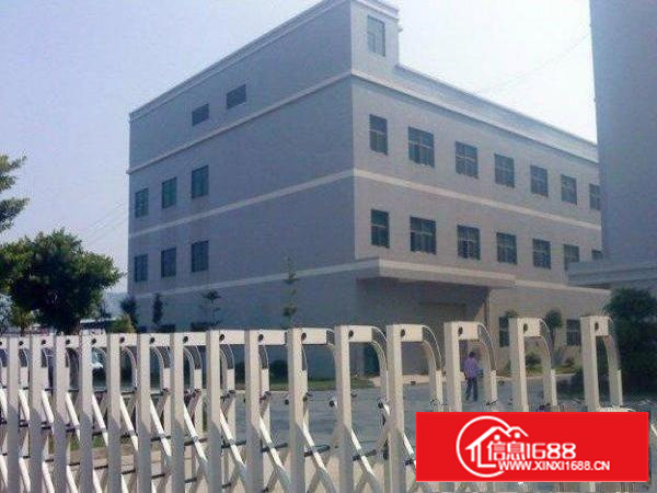 万江大道旁原房东急租11200平，整栋出租分租