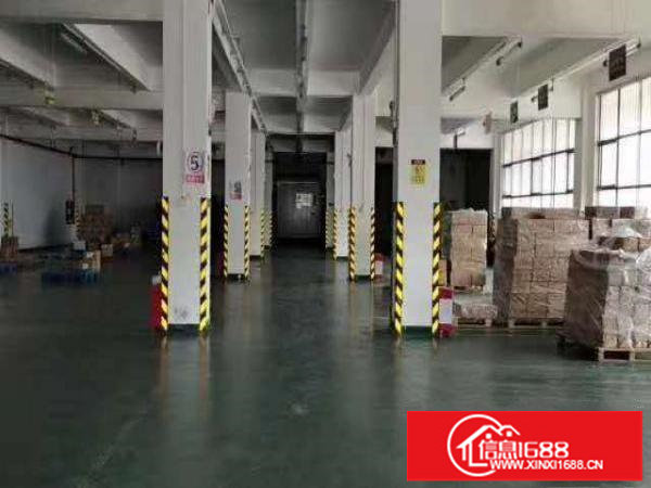 平湖白泥坑紧靠海吉星楼上890平方净菜车间出租，3吨电梯