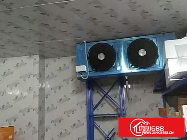 龙岗冷冻库出租自由分租【南联地铁站旁】