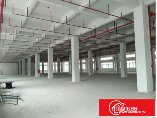 出租常平袁山贝500平厂房，价格实惠，交通便利，水电齐全