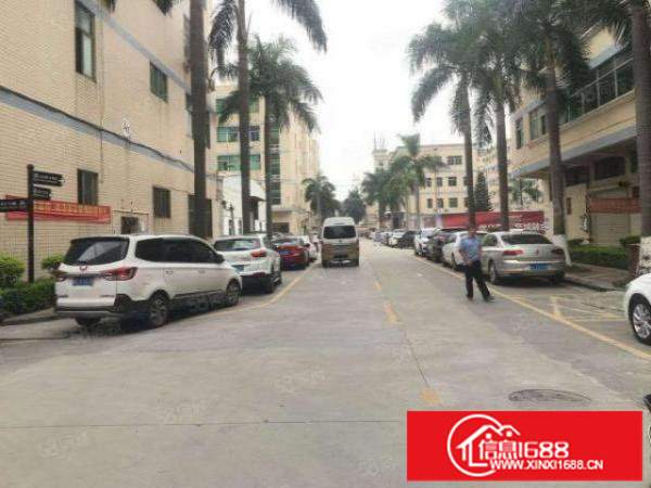 龙岗南联爱南路边1500平现成装修厂房出租转租可分租无转让费