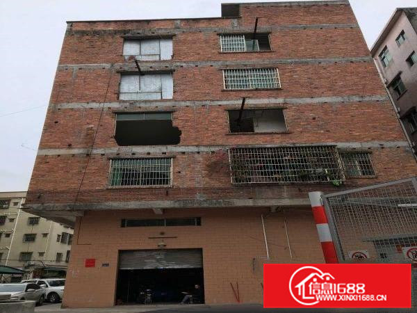 大朗大井公原房东三层455平方，可分租