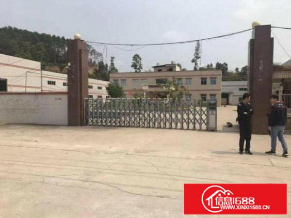 博罗园洲独门独院单一层滴水8米钢构17000平招租