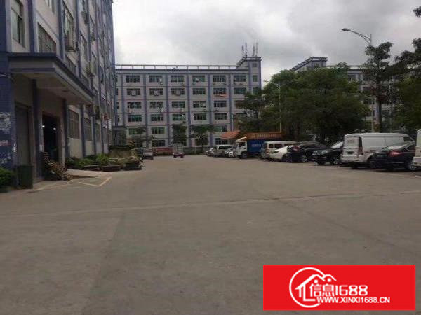 上雪科技园带装修200.300.500.1000平