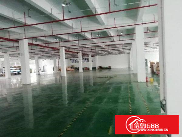 塘厦138工业区标准2楼3900平方！宽敞明亮！形象大气