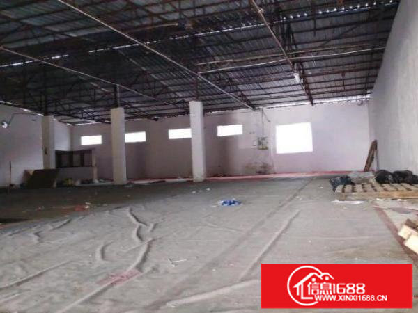 厂房出租单一层钢构厂房550平带卸货平台适合各种行业