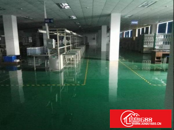 惠阳秋长维布新出独院钢构16000平，带红本，可分