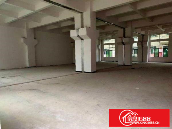 燕窝原房东厂房一楼600平方带牛角高度6米