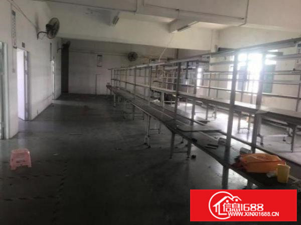 清溪三中带装修可做电池厂房1500平方米大小分租