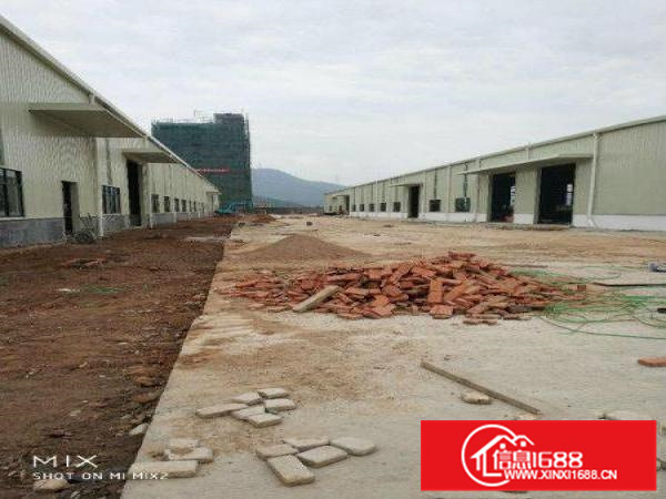 独栋8米高九成新单一层钢结构仅租12