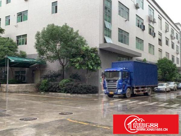 观澜章阁.2楼2400平.大小分租.豪华装修办公室前台