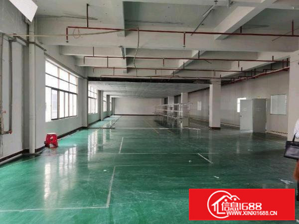 标准厂房，全新地平漆