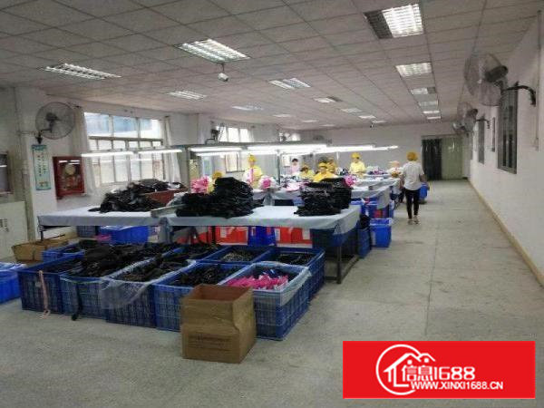 沙井一楼850平简装供电量足产证齐全可环评