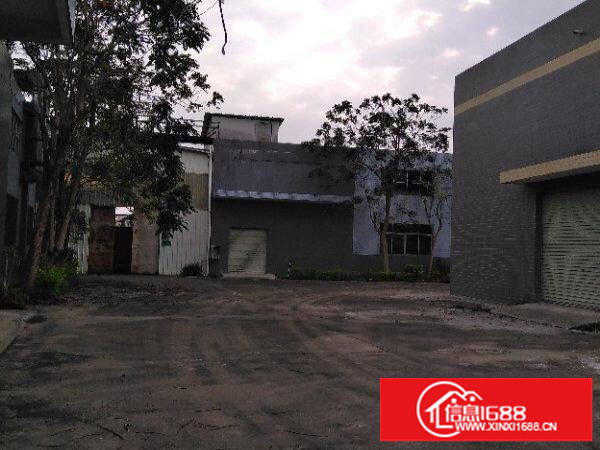 龙华大浪独门独院单一层厂房出租