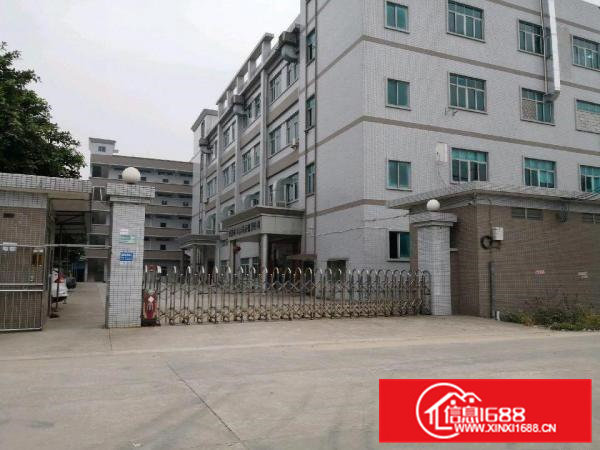 横沥镇东部快线出口原房东独院楼房厂房6500平米