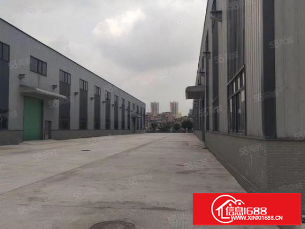 佛山三水区西南云东海全新高标准6000方单一层厂房出租可分租