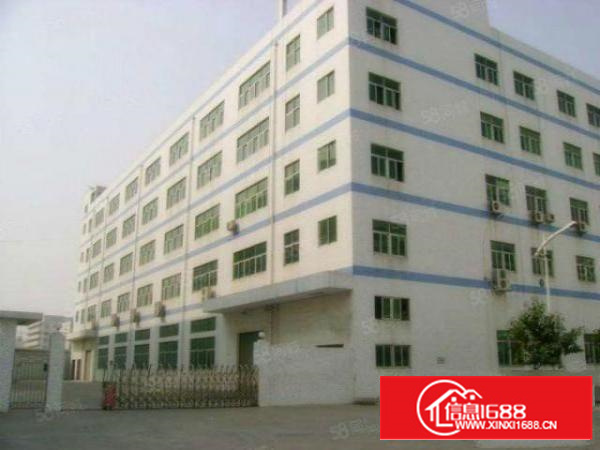 石排厂房出租独院厂房分租今日更新