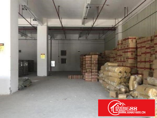 公明东坑一楼厂房600方低价出租，面积实在