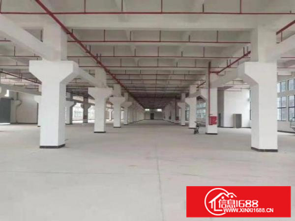 原房东全新标准独门独院出租