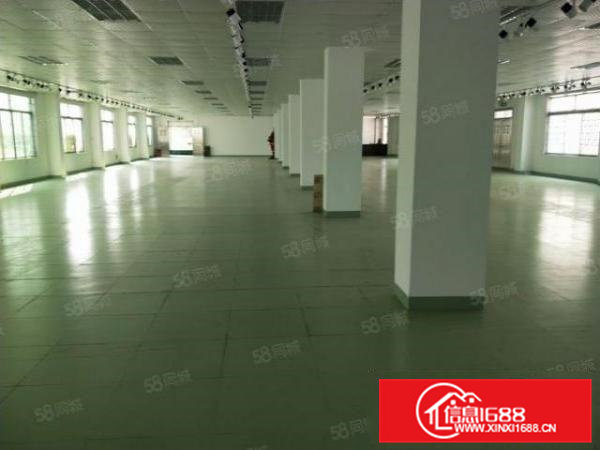 桥头新出厂房总面积25000，分为独立的4栋厂房，格局好