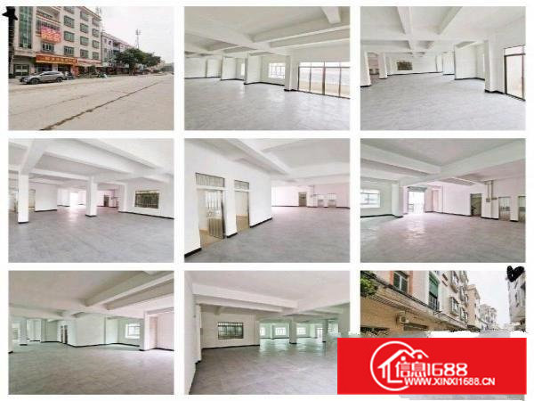 电梯厂房招租，前后大马路，交通便利！