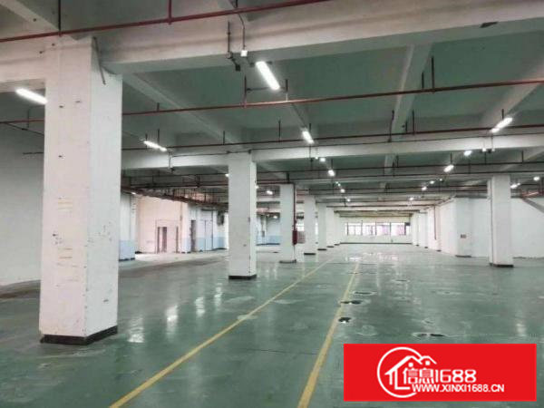 龙见田标准厂房一楼出租400平方原房东，可办环评