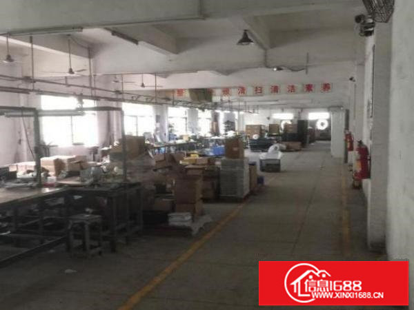 松岗燕罗街道罗田村正大安十五厂房1300平米