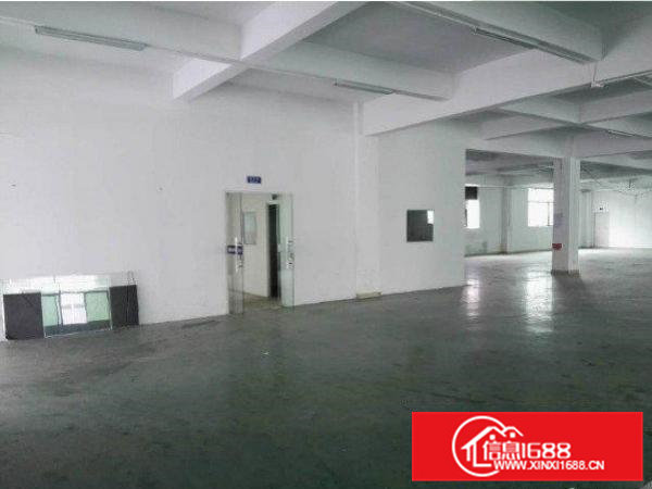 常平袁山贝厂房一楼5米高800平米出租水电齐全