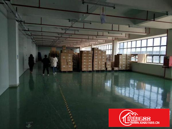凤岗近深圳楼上电子数据线厂房出租3300平精装修办公室