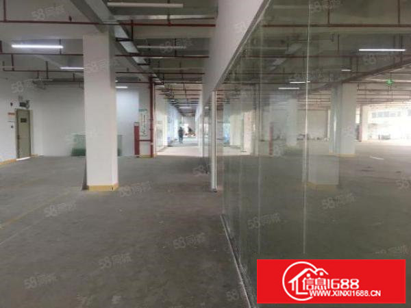 坪山坑梓沙沙田原房东红本无公摊厂房出租216平起包隔好墙