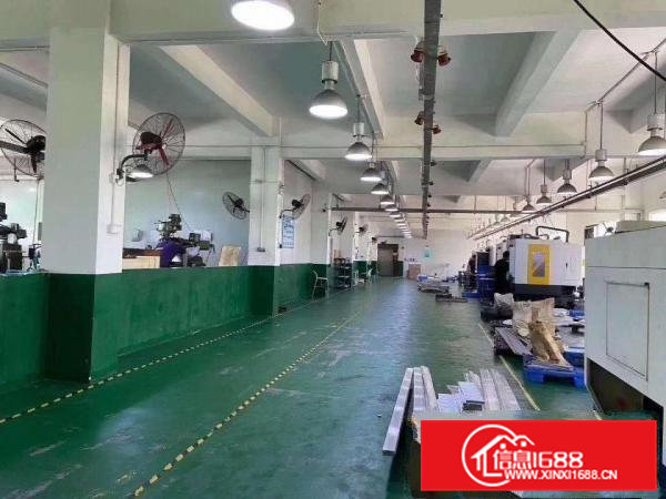 凤岗雁田标准一楼厂房出租1580平精装修办公室可拎包入驻