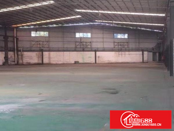 [业主直租]狮山一环边厂房出租