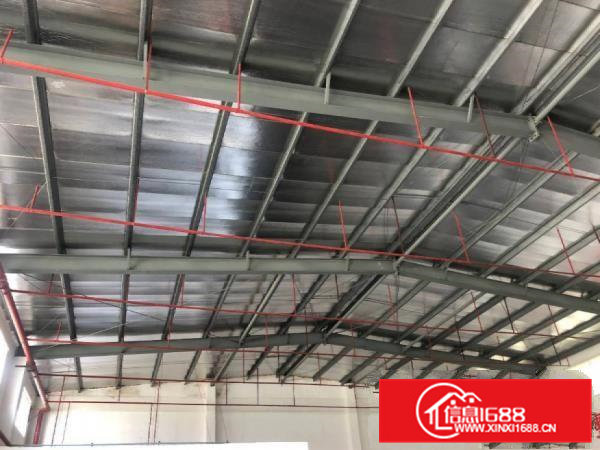 茶山寒溪水新出单一层厂房2500平，钢结构有办公室出租