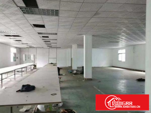 石排中坑楼上精装修吊顶厂房380平方带办公出租