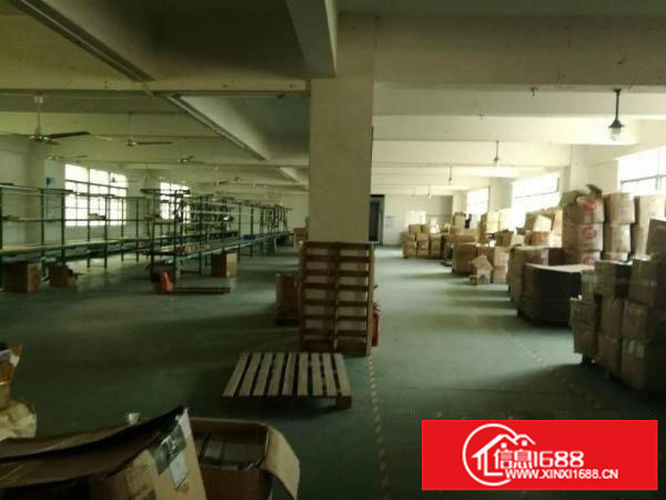 观澜至龙华龙观快线路边二楼1000平米一手房东出租