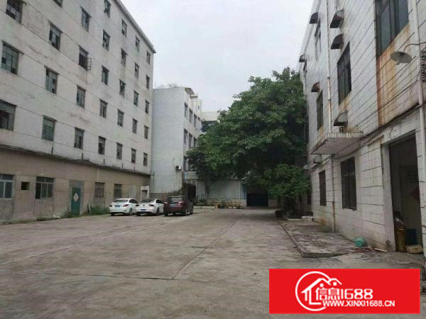 桥头镇经典小独院厂房出租