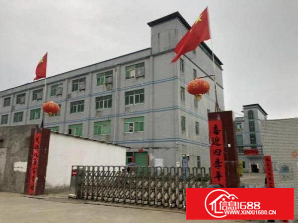 碧岭横坪公路边新出原楼上整层1100平方带豪华装修办公室出租