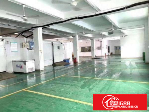 平湖广场附近主干道旁新出一楼700平方厂房招租