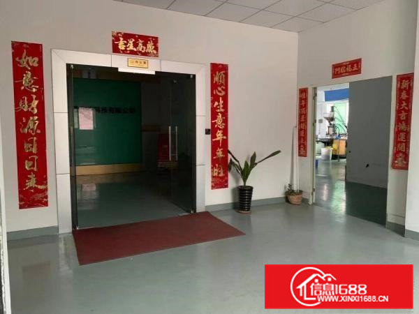 南栅新出原房东厂房2楼整层800平方带豪华办公室装修无公摊