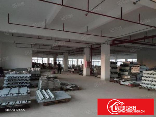 坪山石井金田路边全新厂房1000平米招租周边配套齐