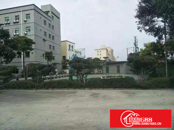 惠阳新圩镇原房东标准独院3500平米，可包租