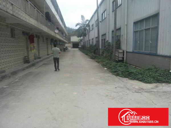 镇隆厂房路边8米高2800平米出租（可分租）