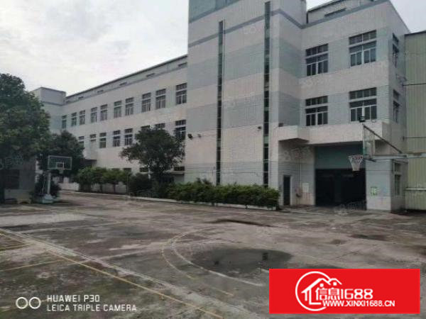 高埗镇新出12500平超大空地独院招租易办评