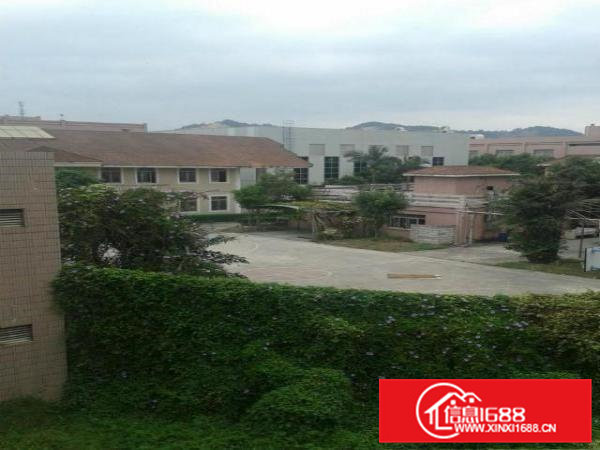 凤岗油甘铺二楼1550平米带电梯厂房出租