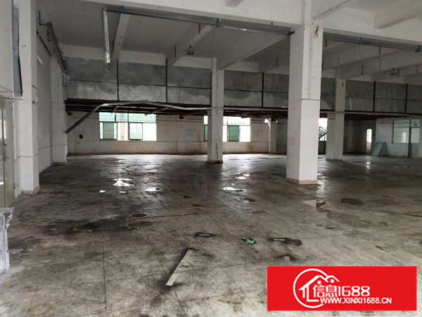 富民工业区一楼厂房出租1000平方