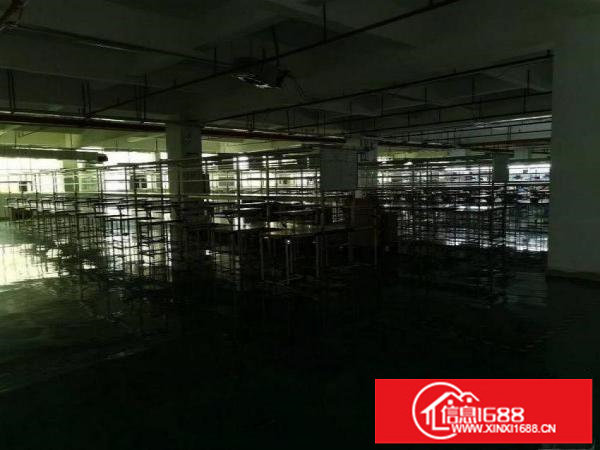 横岗华乐6楼2800平方厂房出租，带装修水电齐全