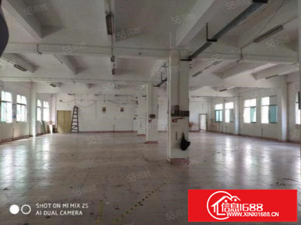 仓库招租1000平米仓库可分租