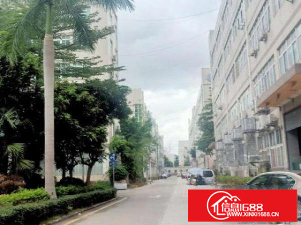 大浪商业中心附近新出原房东精装修红本厂房实际面积出租