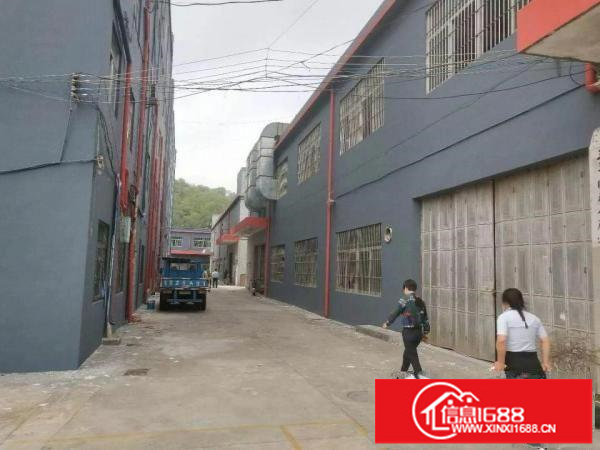 龙岗新出独院2800至3000平出租，深圳厂房出租