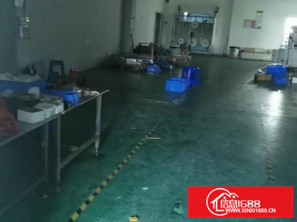 观澜整层1000平厂房带地坪漆带装修出租无转让费